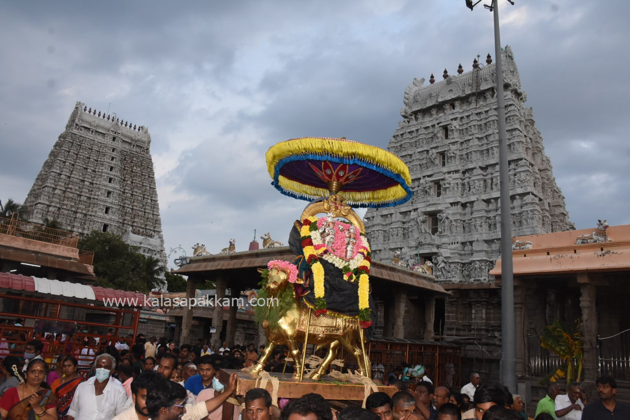 திருவண்ணாமலை அண்ணாமலையார் கோவிலில் புரட்டாசி பௌர்ணமி பிரதோஷ வழிபாடு!