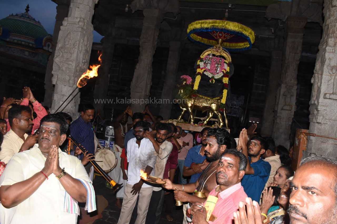 திருவண்ணாமலை அண்ணாமலையார் கோவிலில் புரட்டாசி பௌர்ணமி பிரதோஷ வழிபாடு!