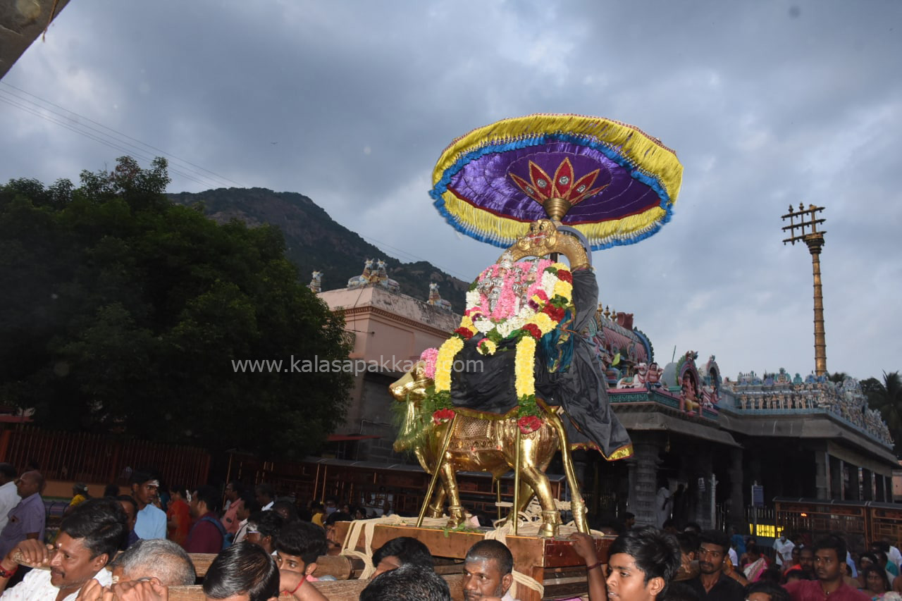 திருவண்ணாமலை அண்ணாமலையார் கோவிலில் புரட்டாசி பௌர்ணமி பிரதோஷ வழிபாடு!