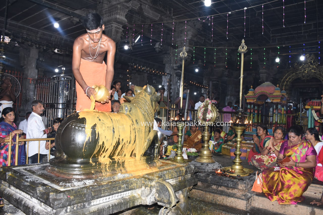 திருவண்ணாமலை அண்ணாமலையார் கோவிலில் புரட்டாசி பௌர்ணமி பிரதோஷ வழிபாடு!