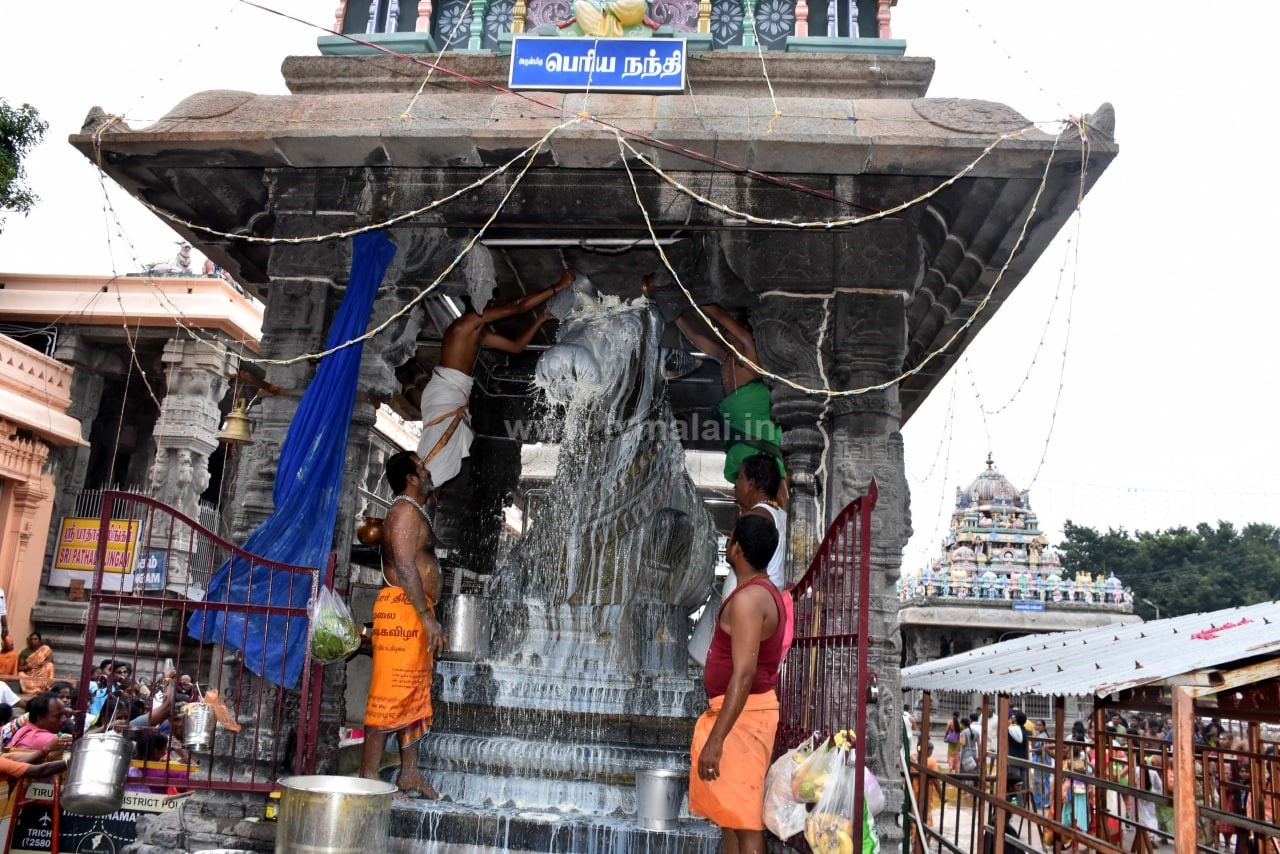 திருவண்ணாமலை அண்ணாமலையார் கோவிலில் கார்த்திகை மாத பிரதோஷ வழிபாடு!