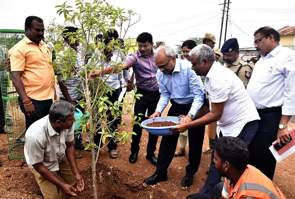 கடலூர் – சித்தூர் சாலை ஓரத்தில் அரசு முதன்மைச் செயலாளர் திரு. பிரதீப் யாதவ் அவர்கள் மரக்கன்று நட்டார்!