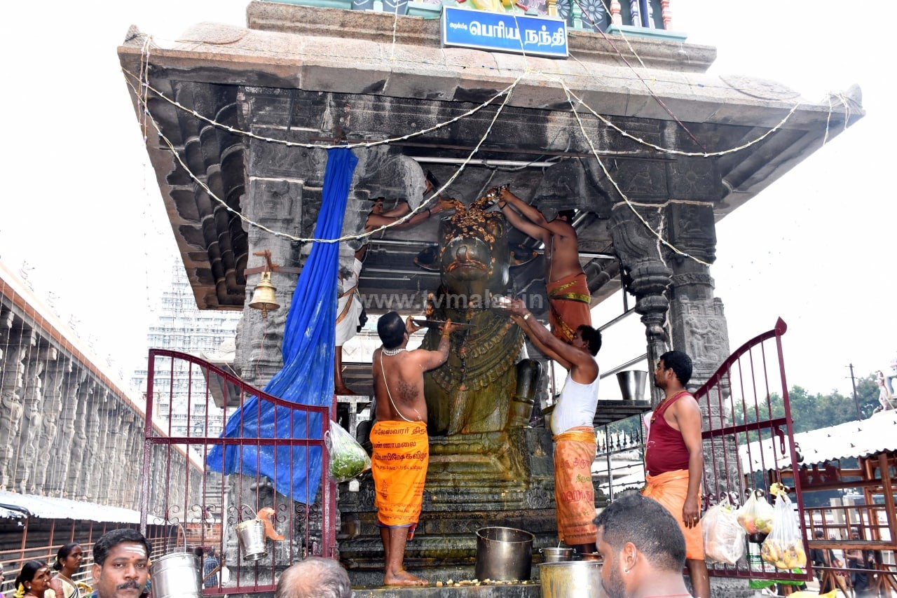 திருவண்ணாமலை அண்ணாமலையார் கோவிலில் கார்த்திகை மாத பிரதோஷ வழிபாடு!