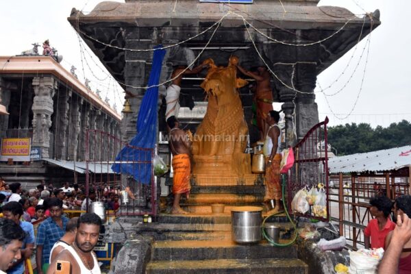 திருவண்ணாமலை அண்ணாமலையார் கோவிலில் கார்த்திகை மாத பிரதோஷ வழிபாடு!