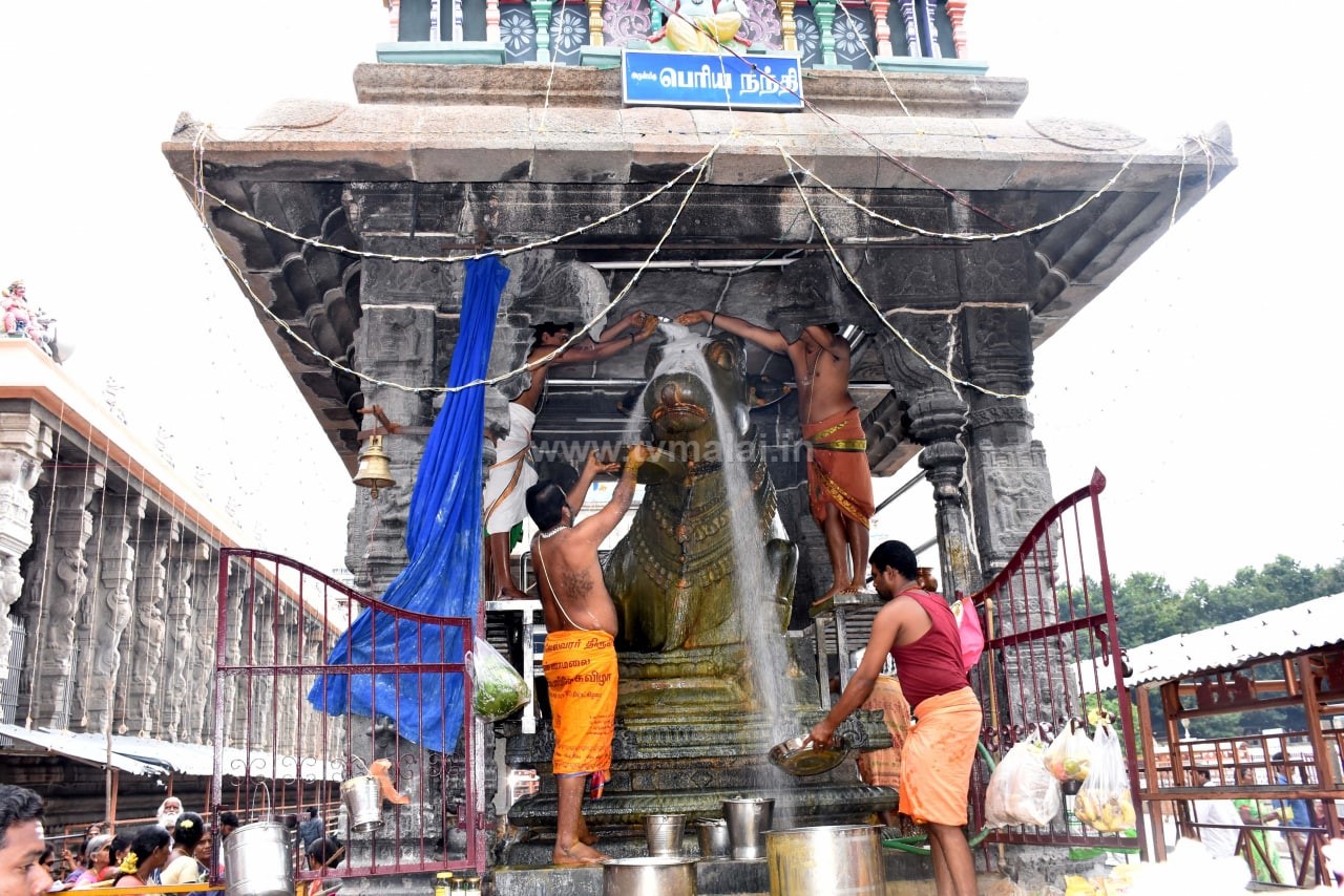 திருவண்ணாமலை அண்ணாமலையார் கோவிலில் கார்த்திகை மாத பிரதோஷ வழிபாடு!