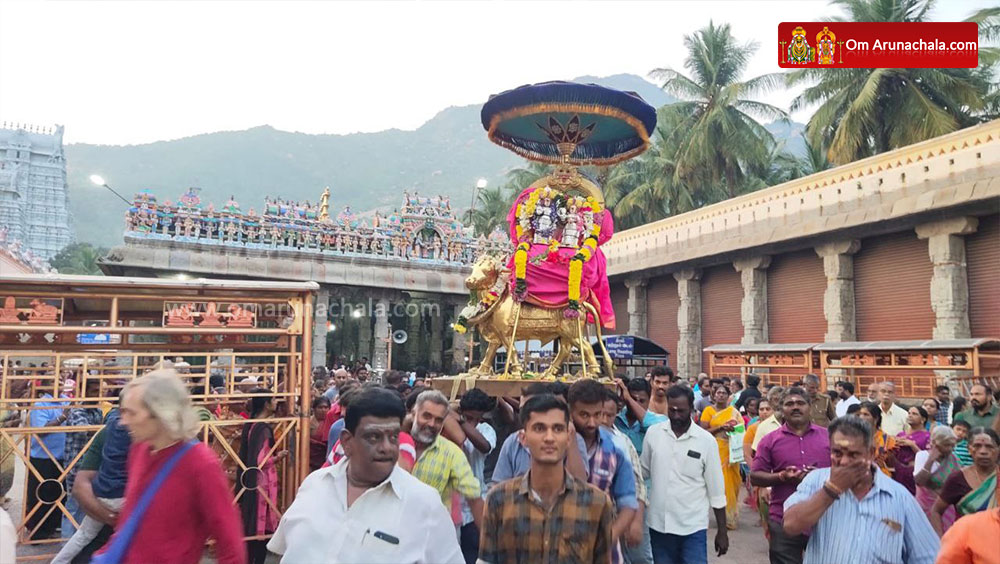 திருவண்ணாமலை அண்ணாமலையார் கோவிலில் மார்கழி மாத பிரதோஷ வழிபாடு!