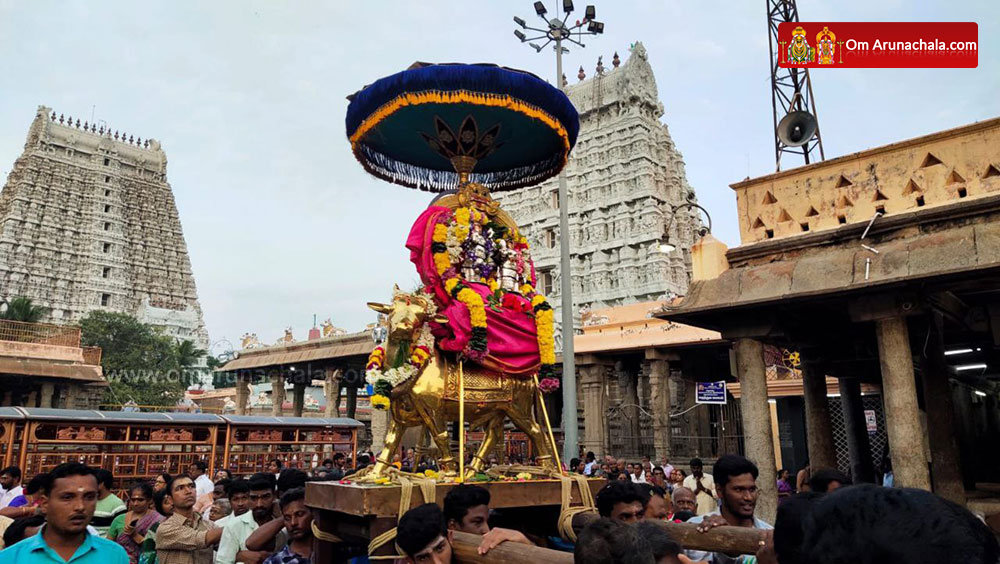 திருவண்ணாமலை அண்ணாமலையார் கோவிலில் மார்கழி மாத பிரதோஷ வழிபாடு!