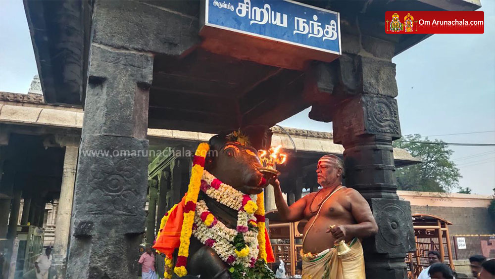 திருவண்ணாமலை அண்ணாமலையார் கோவிலில் மார்கழி மாத பிரதோஷ வழிபாடு!