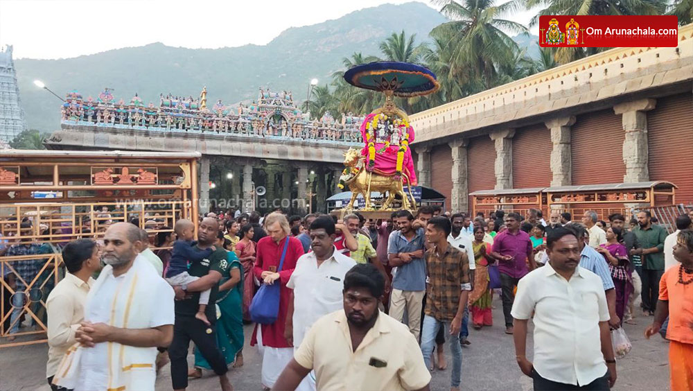 திருவண்ணாமலை அண்ணாமலையார் கோவிலில் மார்கழி மாத பிரதோஷ வழிபாடு!