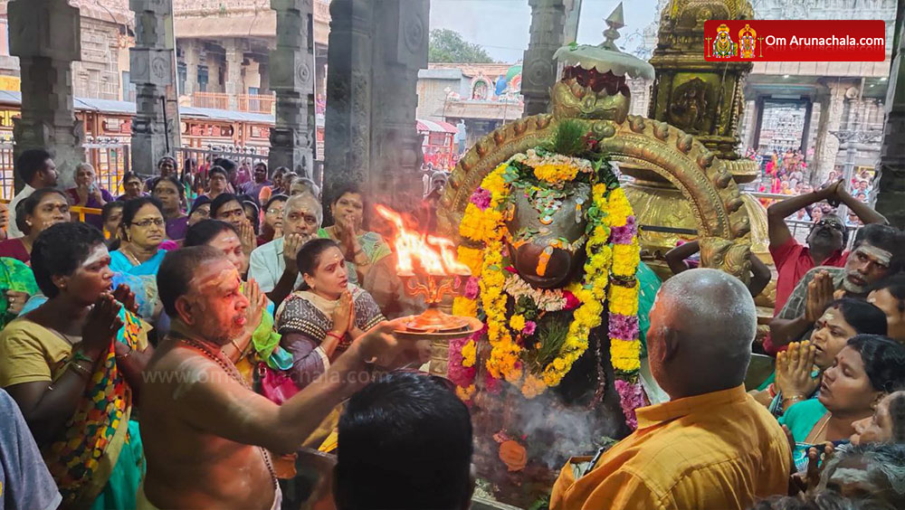 திருவண்ணாமலை அண்ணாமலையார் கோவிலில் மார்கழி மாத பிரதோஷ வழிபாடு!