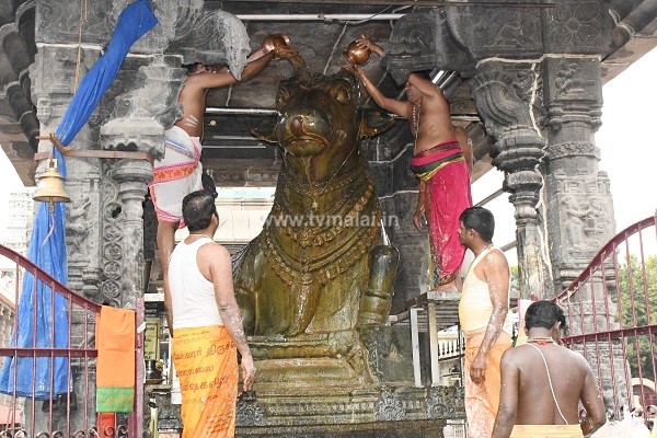 திருவண்ணாமலை அருணாச்சலேஸ்வரர் கோவிலில் பங்குனி  மாத அமாவாசை பிரதோஷம்!