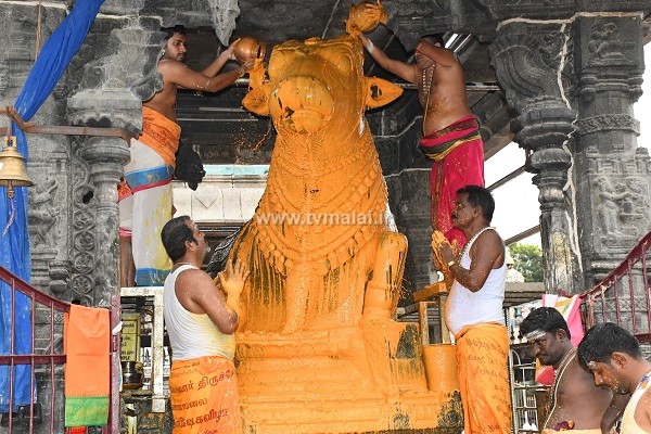 திருவண்ணாமலை அருணாச்சலேஸ்வரர் கோவிலில் பங்குனி  மாத அமாவாசை பிரதோஷம்!