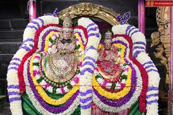 திருவண்ணாமலை அருள்மிகு அருணாசலேஸ்வரர் திருக்கோயில் சித்திரை வசந்த உற்சவம்- Day 3