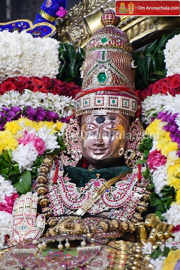 திருவண்ணாமலை அருள்மிகு அருணாசலேஸ்வரர் திருக்கோயில் சித்திரை வசந்த உற்சவம்- Day 3