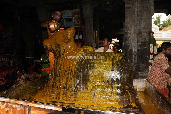 திருவண்ணாமலை அருணாச்சலேஸ்வரர் கோவிலில் பங்குனி மாத பௌர்ணமி பிரதோஷம்!