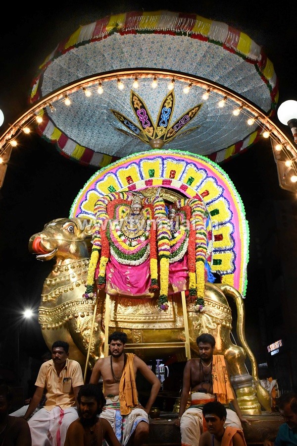 அருள்மிகு அருணாசலேசுவரர் திருக்கோயில் பங்குனி உத்திர திருக்கல்யாணம்!