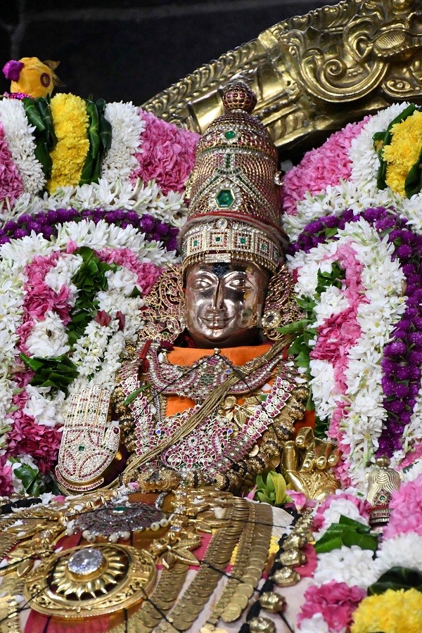 திருவண்ணாமலை அருள்மிகு அருணாசலேஸ்வரர் திருக்கோயில் சித்திரை வசந்த உற்சவம் – Day 8