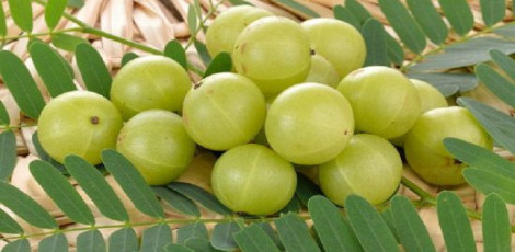 Eating amla in excess can lead to these health problems, please take care!!