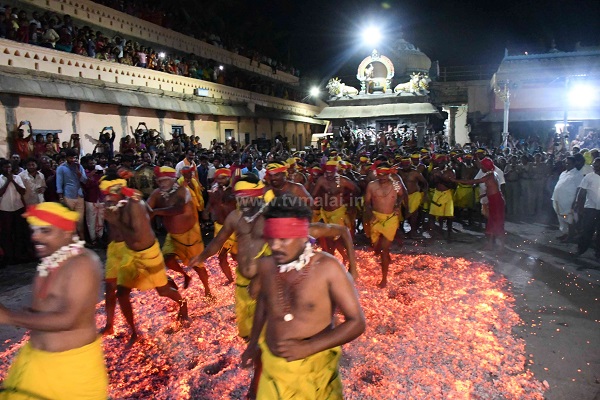 திருவண்ணாமலை அண்ணாமலையார் திருக்கோவிலில் அம்மன் சன்னதி முன்பு தீமிதி விழா!