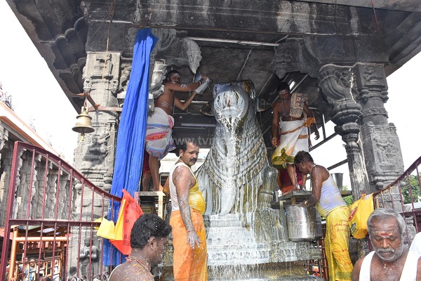 திருவண்ணாமலை அருணாச்சலேஸ்வரர் கோவிலில் ஆனி மாத அமாவாசை பிரதோஷம்!