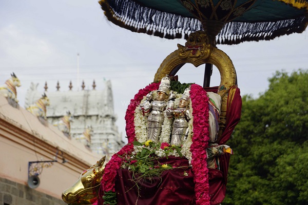 திருவண்ணாமலை அருணாச்சலேஸ்வரர் கோவிலில் ஆவணி மாத பௌர்ணமி பிரதோஷம்!