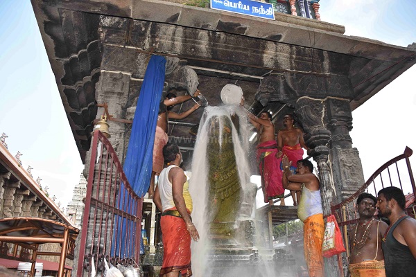 திருவண்ணாமலை அருணாச்சலேஸ்வரர் கோவிலில் புரட்டாசி மாத அமாவாசை பிரதோஷம்!