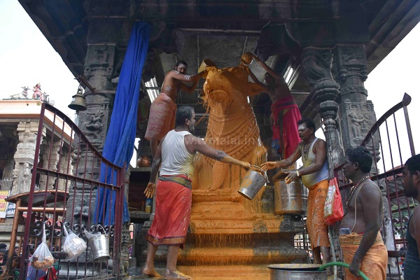 திருவண்ணாமலை அருணாச்சலேஸ்வரர் கோவிலில் புரட்டாசி மாத அமாவாசை பிரதோஷம்!