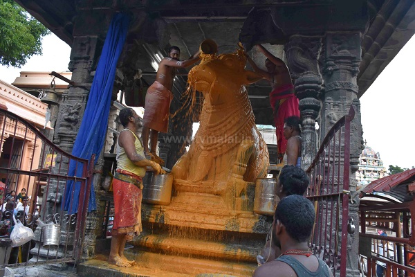 திருவண்ணாமலை அருணாச்சலேஸ்வரர் கோவிலில் புரட்டாசி மாத அமாவாசை பிரதோஷம்!