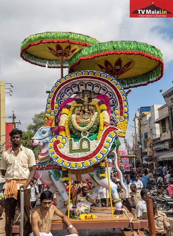 திருவண்ணாமலை கார்த்திகை தீபத் திருவிழா 2023 – ஐந்தாம் நாள் காலை!