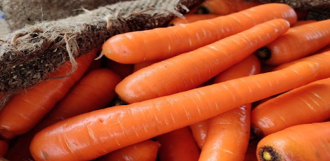 Can diabetics eat carrots - Health benefits diabetics can get by eating carrots!!