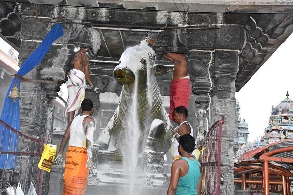 திருவண்ணாமலை அருணாச்சலேஸ்வரர் கோவிலில் கார்த்திகை மாத அமாவாசை பிரதோஷம்!