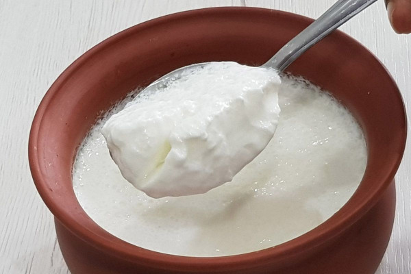 Eating curd during winters - Its advantages and disadvantages!!