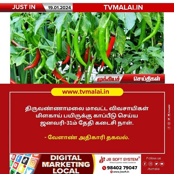 திருவண்ணாமலை மாவட்ட விவசாயிகள் மிளகாய் பயிருக்கு காப்பீடு செய்ய ஜனவரி-31ம் தேதி கடைசி நாள்!