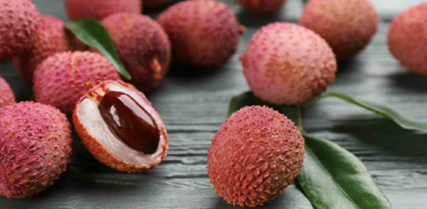 We all must know these unknown superb health benefits of consuming lychee seeds!!