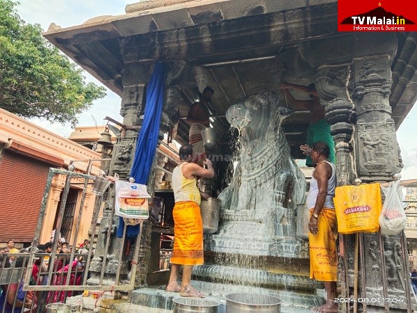 திருவண்ணாமலை அருணாச்சலேஸ்வரர் கோவிலில் ஆடி மாத அமாவாசை பிரதோஷம்!