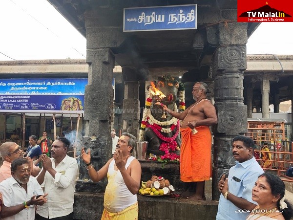 திருவண்ணாமலை அருணாச்சலேஸ்வரர் கோவிலில் ஆடி மாத அமாவாசை பிரதோஷம்!