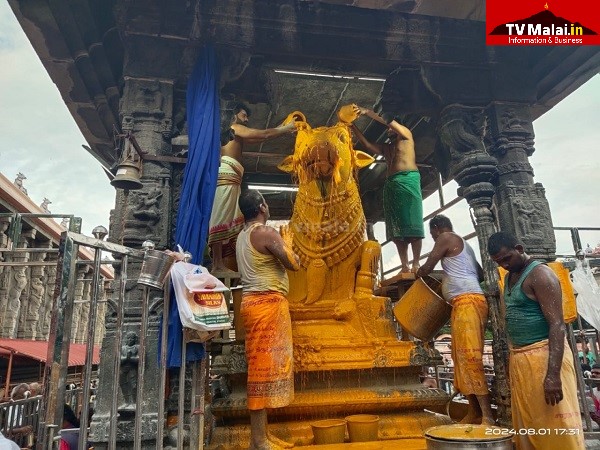 திருவண்ணாமலை அருணாச்சலேஸ்வரர் கோவிலில் ஆடி மாத அமாவாசை பிரதோஷம்!