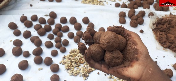 விதை பந்துகள் (Seed Balls) - இயற்கையின் பாதுகாப்பிற்கான புதிய வழி!