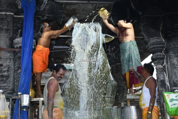 திருவண்ணாமலை அருணாச்சலேஸ்வரர் கோவிலில் புரட்டாசி மாத பௌர்ணமி பிரதோஷம்!