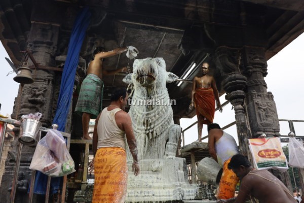 திருவண்ணாமலை அருணாச்சலேஸ்வரர் கோவிலில் ஐப்பசி மாத அமாவாசை பிரதோஷம்!