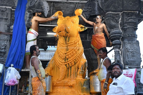 திருவண்ணாமலை அருணாச்சலேஸ்வரர் கோவிலில் புரட்டாசி மாத அமாவாசை பிரதோஷம்!