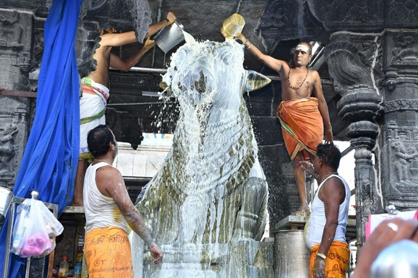 திருவண்ணாமலை அருணாச்சலேஸ்வரர் கோவிலில் புரட்டாசி மாத அமாவாசை பிரதோஷம்!