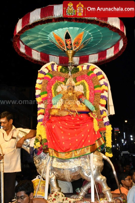 திருவண்ணாமலை கார்த்திகை தீபத் திருவிழா 2024 – நான்காம் நாள் இரவு!