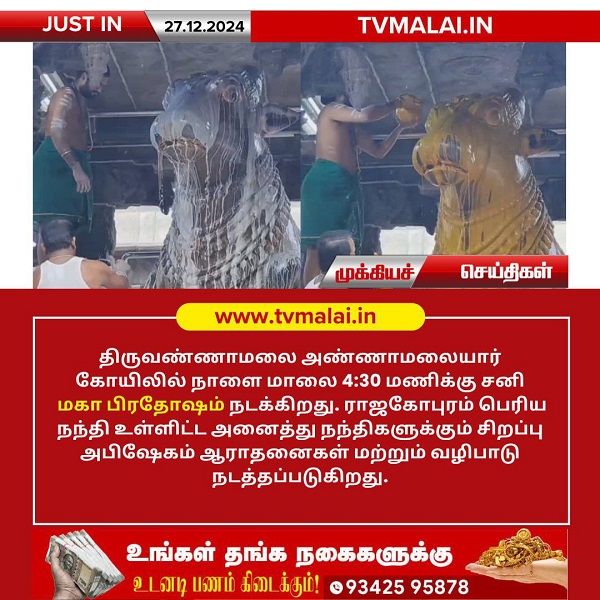 திருவண்ணாமலை அண்ணாமலையார் கோயிலில் நாளை சனி மகா பிரதோஷ சிறப்பு வழிபாடு!