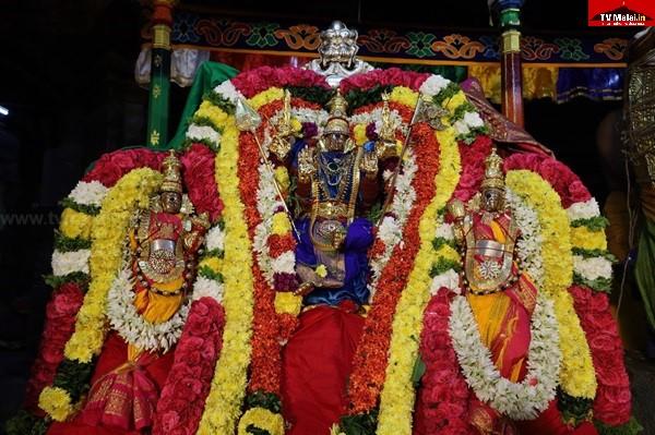 திருவண்ணாமலை அருள்மிகு அண்ணாமலையார் திருக்கோயிலில் கார்த்திகை தீபத் திருவிழா 2024 – இரண்டாம் நாள் இரவு!