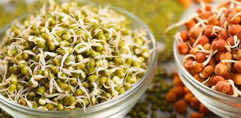 What eating sprouts daily in the morning will do to our health?