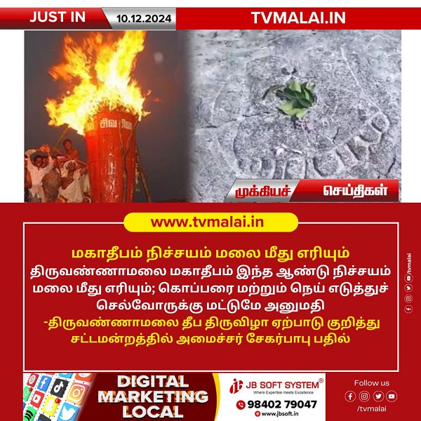 திருவண்ணாமலை மகாதீபம் மலை மீது எரியும்: அமைச்சர் உறுதி!