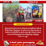 திருவண்ணாமலை மகா தீப கொப்பரை மலையிலிருந்து கோயிலுக்கு எடுத்து வரப்பட்டது!