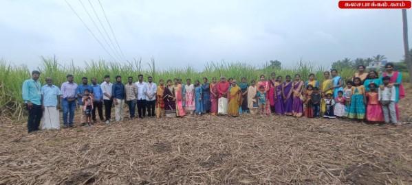 Pongal 2025 Celebrated at JB Soft System, Kalasapakkam