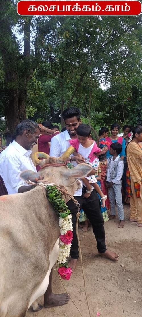 Pongal 2025 Celebrated at JB Soft System, Kalasapakkam